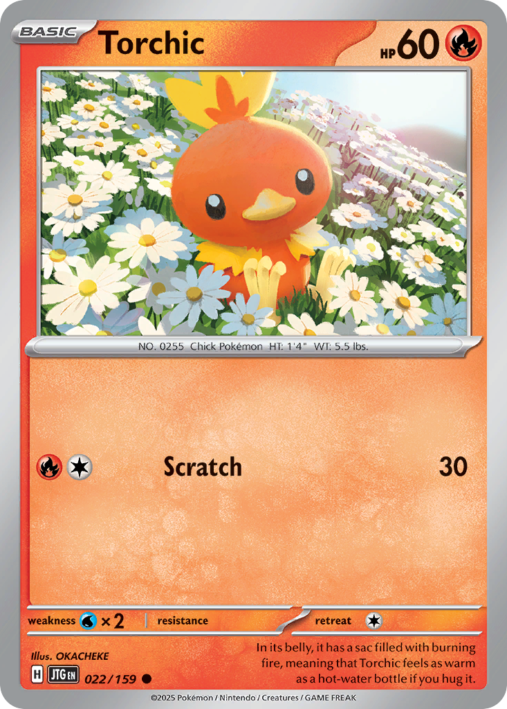 Torchic (22)