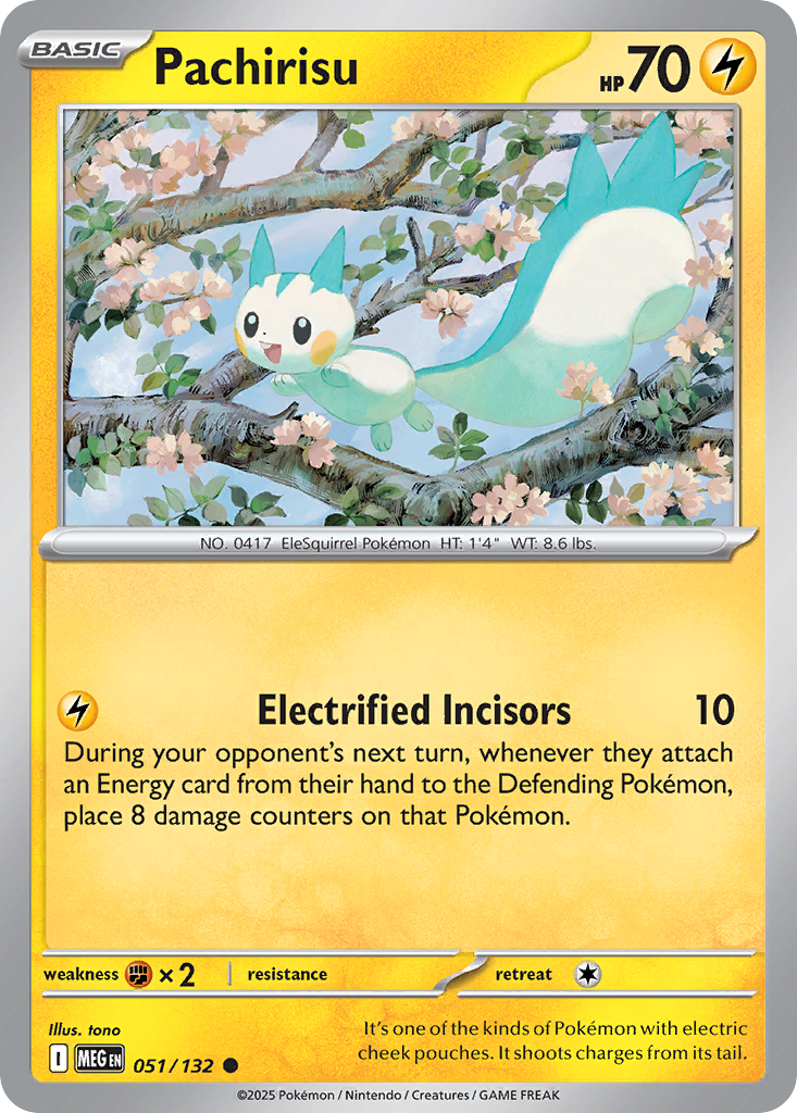 Pachirisu (51)