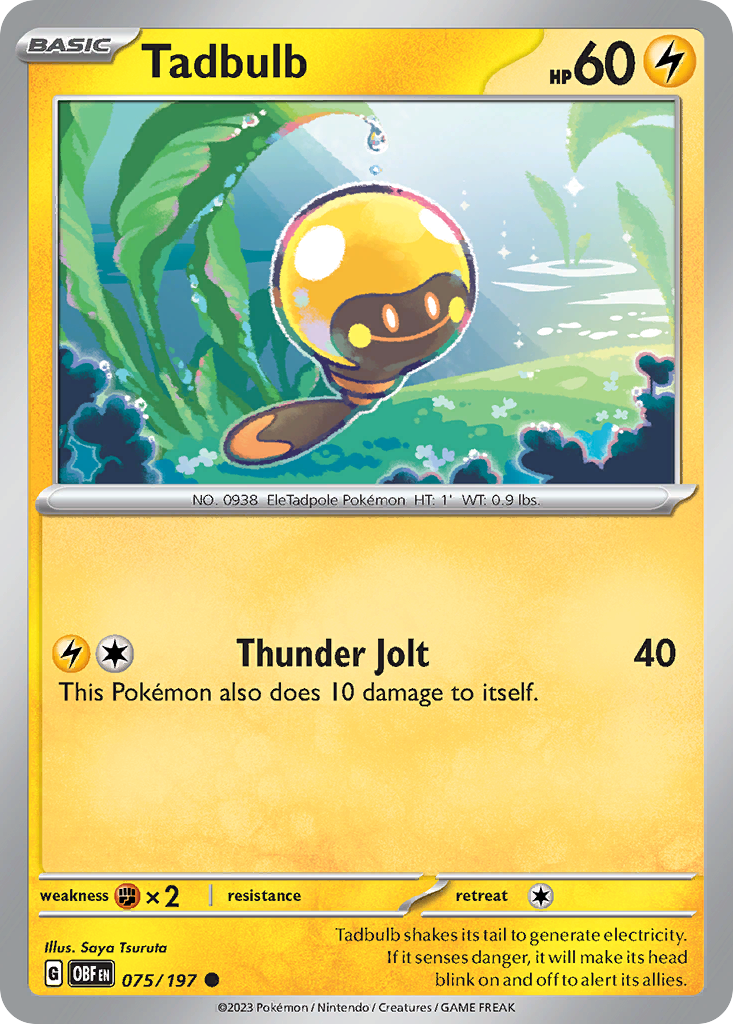 Tadbulb (75)
