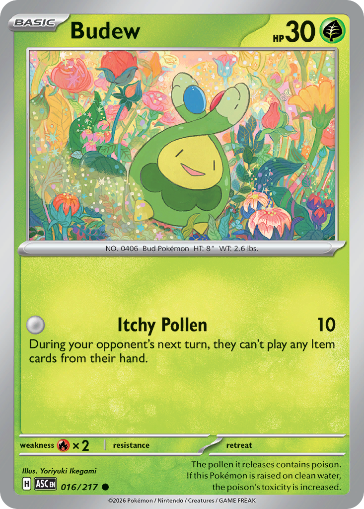Budew (16)