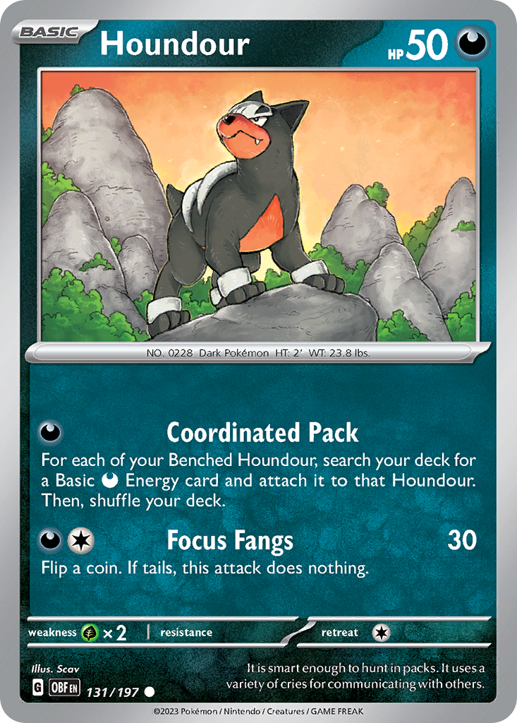 Houndour (131)