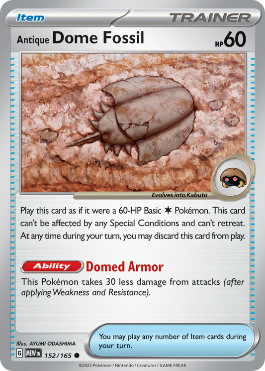 Antique Dome Fossil (152)