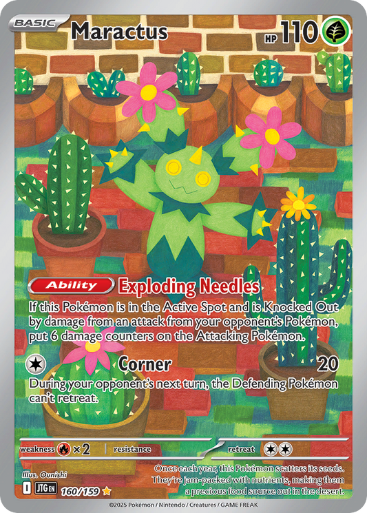 Maractus (160)