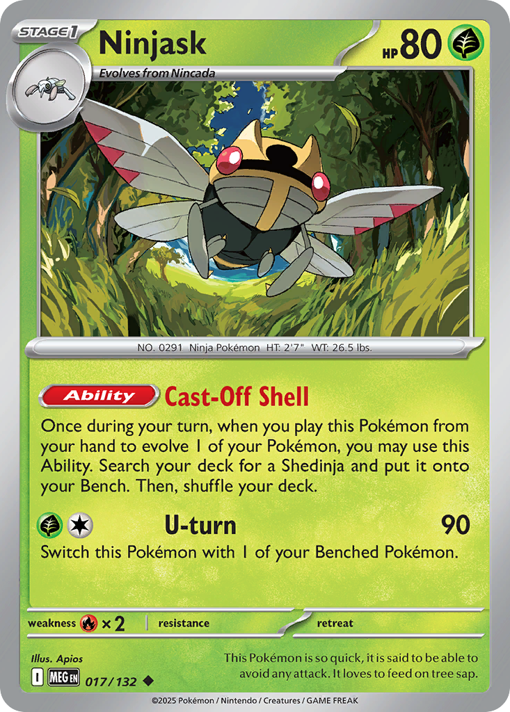 Ninjask (17)