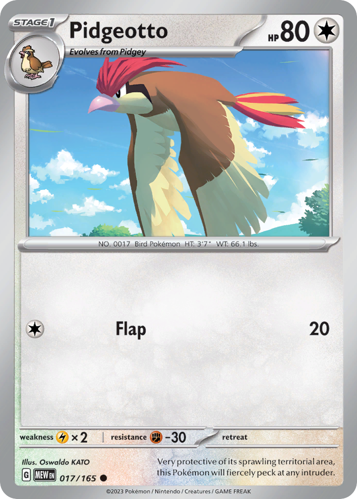 Pidgeotto (17)