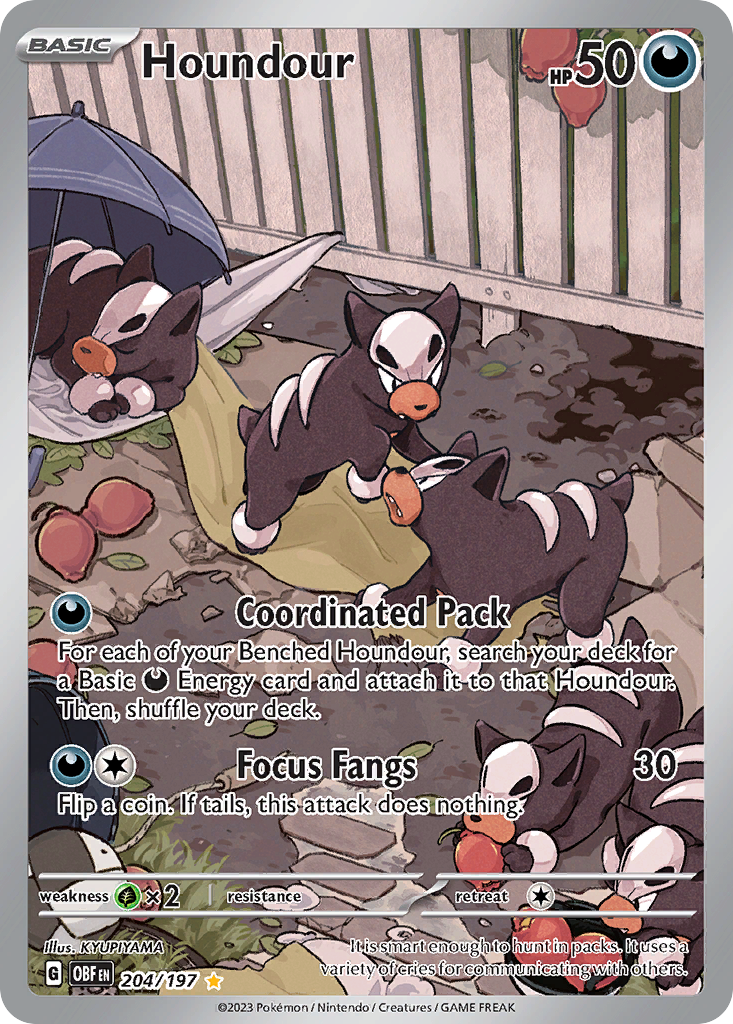 Houndour (204)