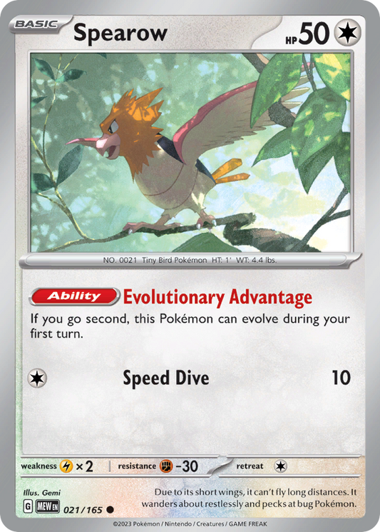 Spearow (21)