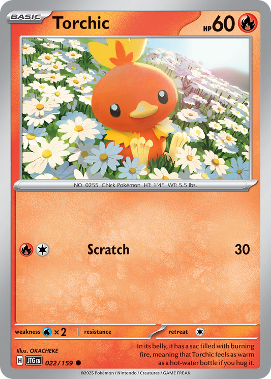 Torchic (22)