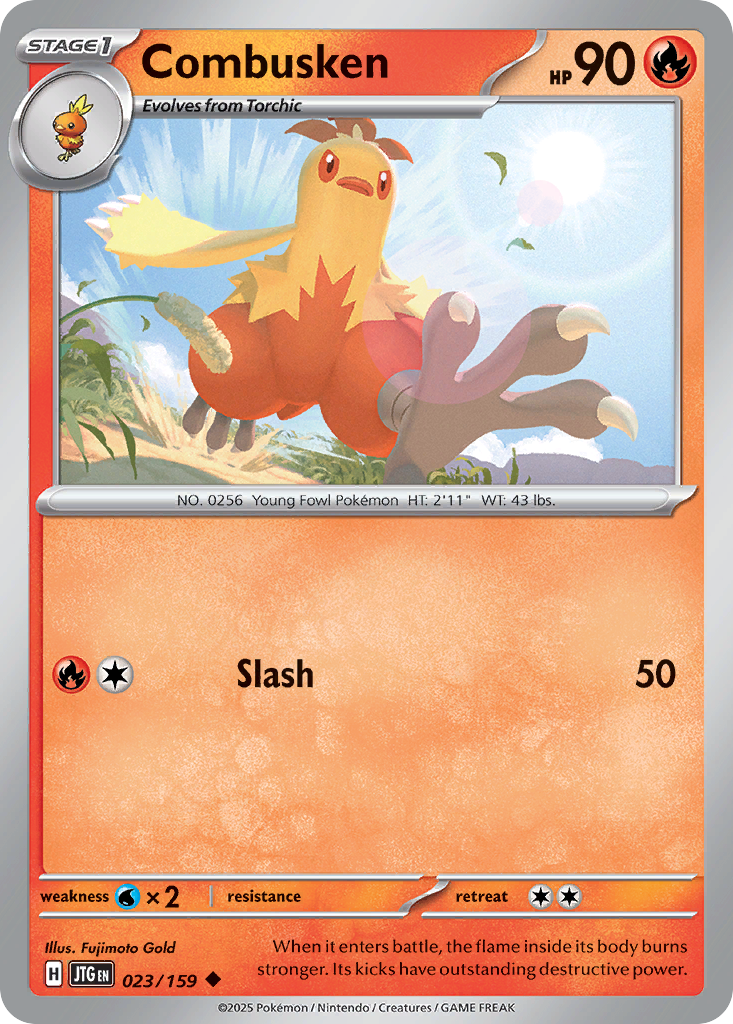 Combusken (23)