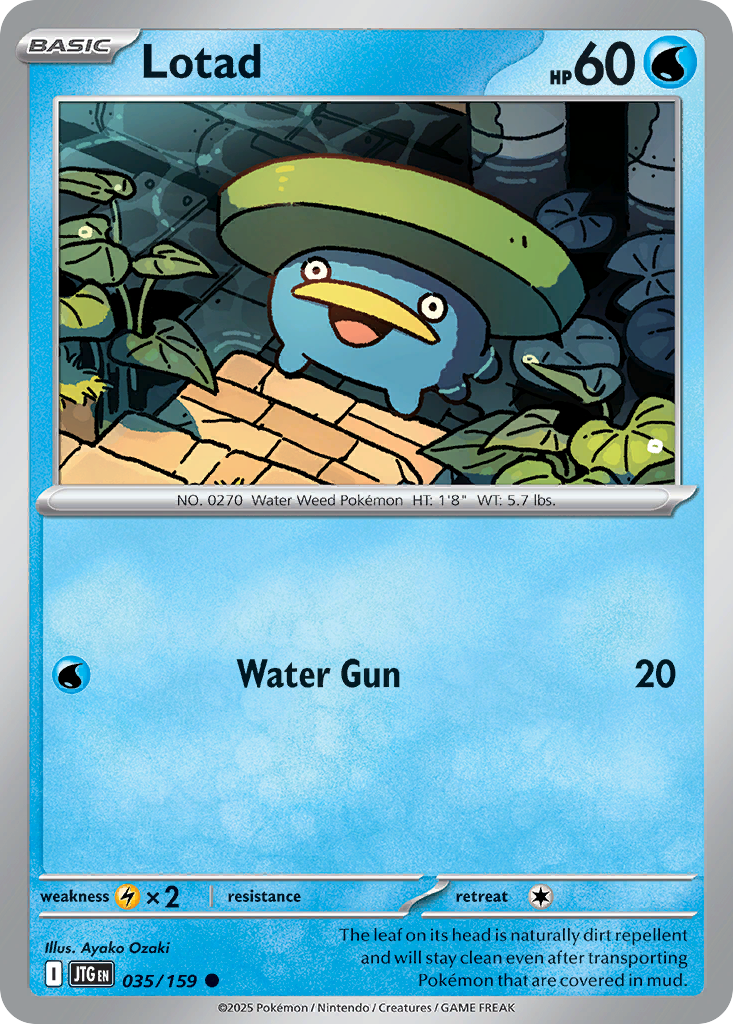 Lotad (35)