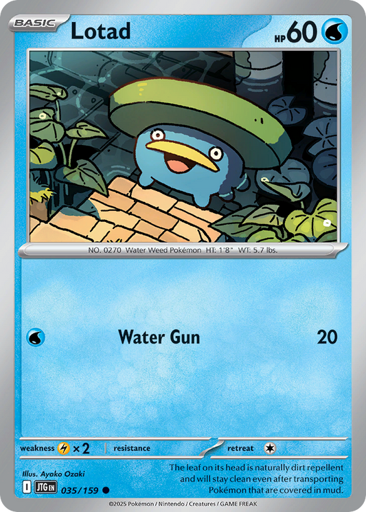 Lotad (35)