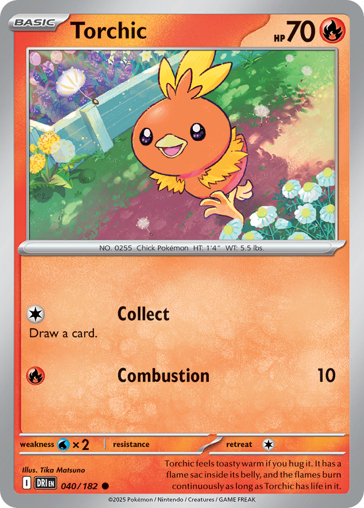 Torchic (40)