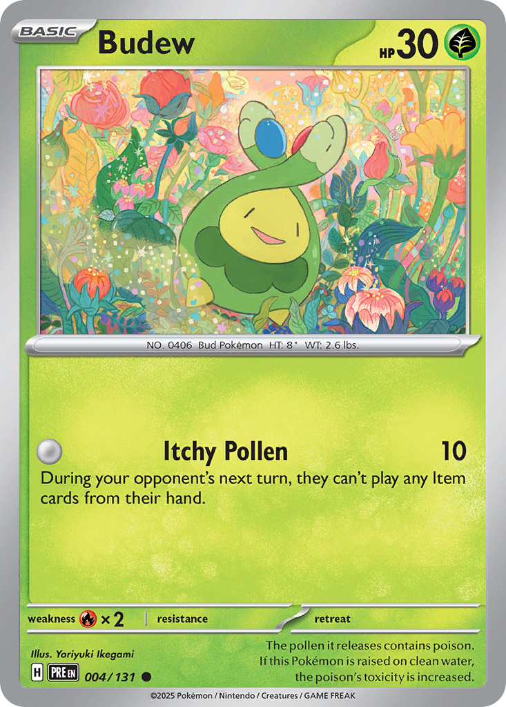 Budew (4)