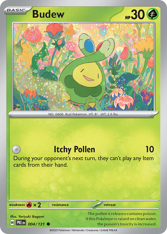 Budew (4)
