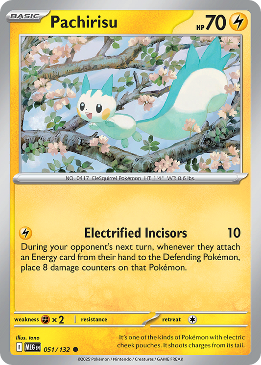 Pachirisu (51)