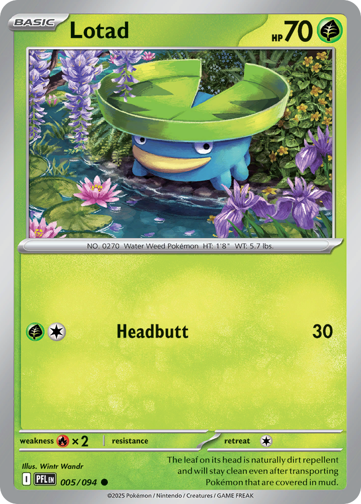 Lotad (5)
