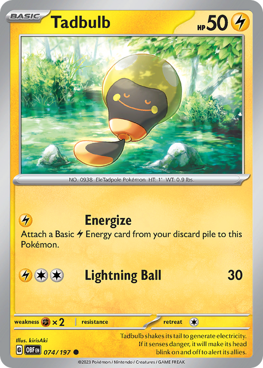 Tadbulb (74)