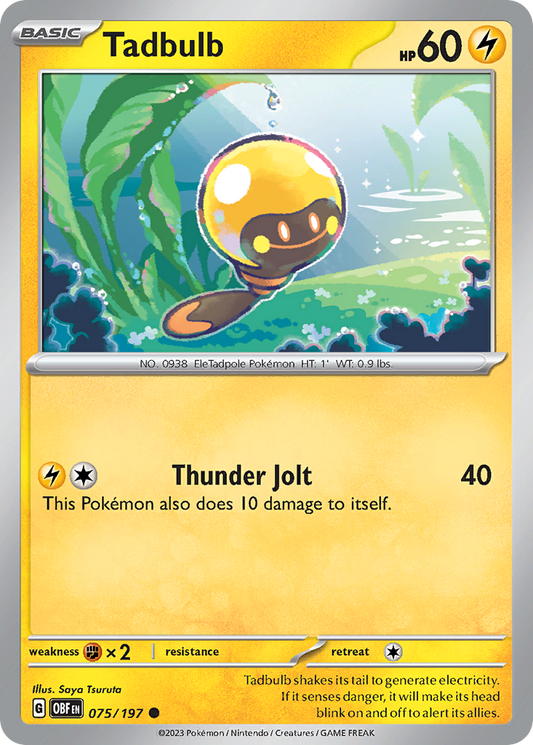 Tadbulb (75)