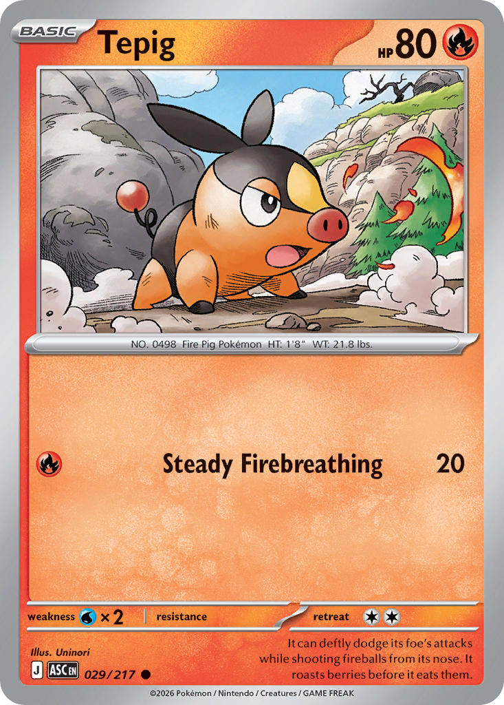 Tepig (29)