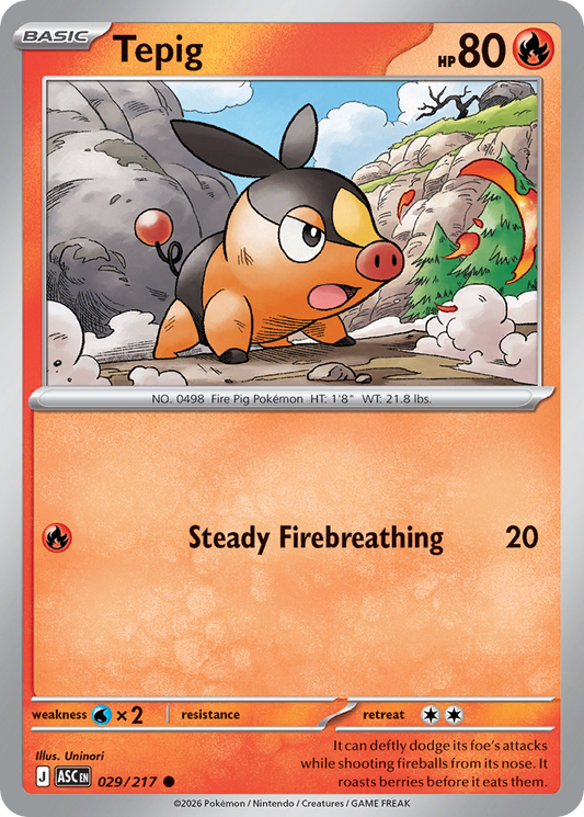 Tepig (29)