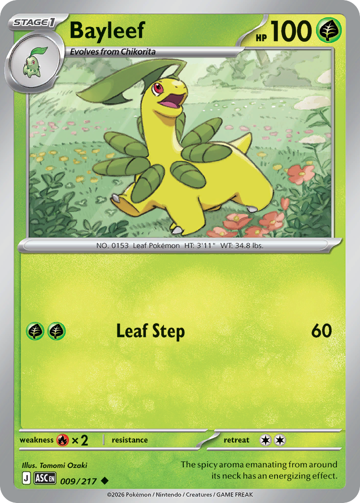 Bayleef (9)