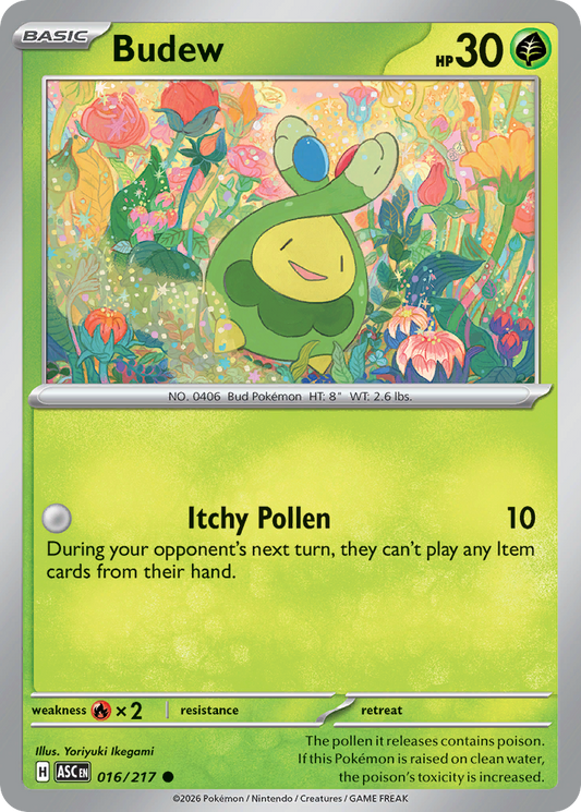 Budew (16)