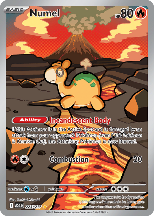 Numel (223)