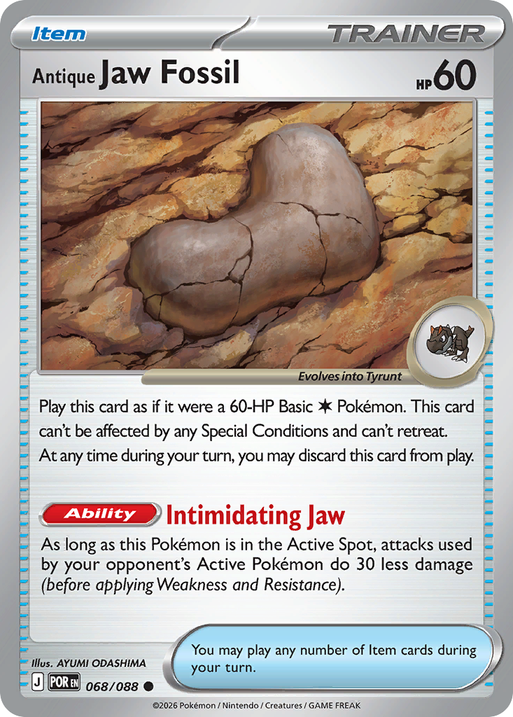 Antique Jaw Fossil (68)