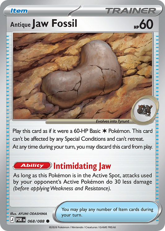 Antique Jaw Fossil (68)
